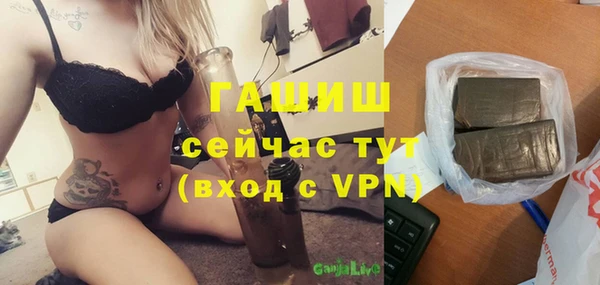 индика Елизово