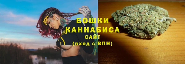 индика Елизово