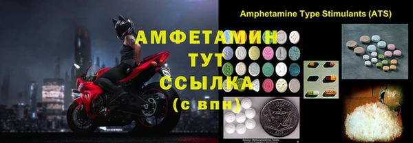 молекула духа Ельня