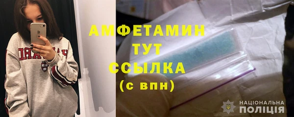 индика Елизово