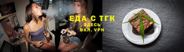 индика Елизово
