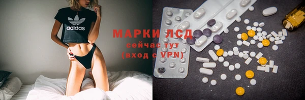 индика Елизово