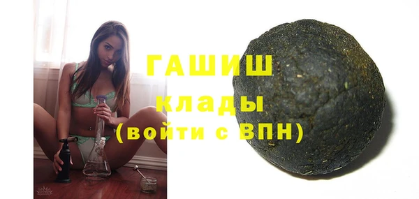 молекула духа Ельня