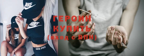 индика Елизово