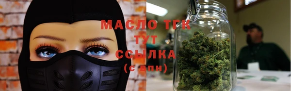 молекула духа Ельня