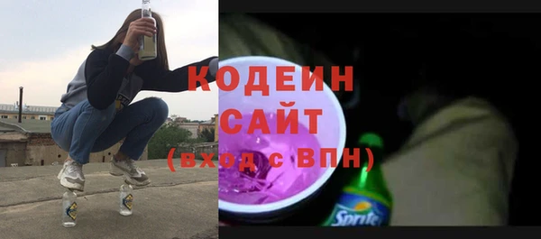 молекула духа Ельня