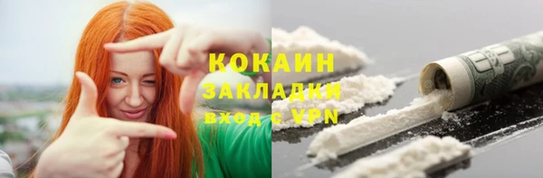 молекула духа Ельня