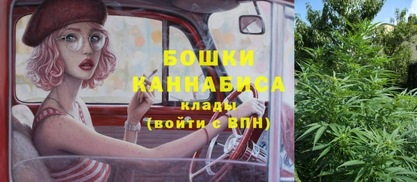 молекула духа Ельня