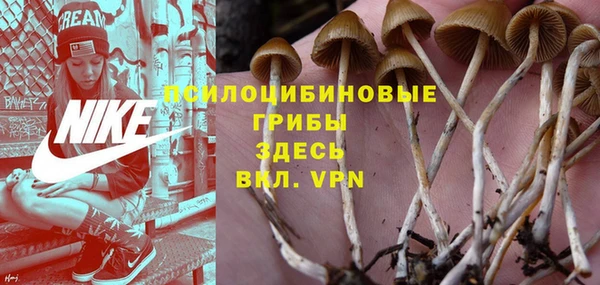 молекула духа Ельня