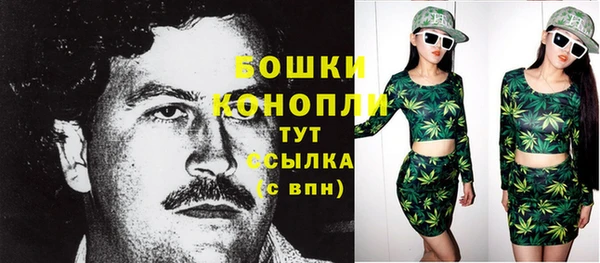 индика Елизово