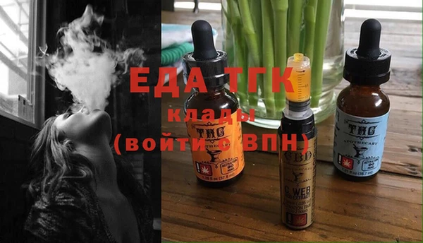 индика Елизово
