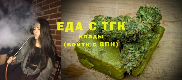индика Елизово