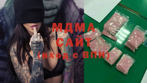индика Елизово