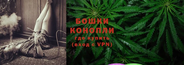 индика Елизово