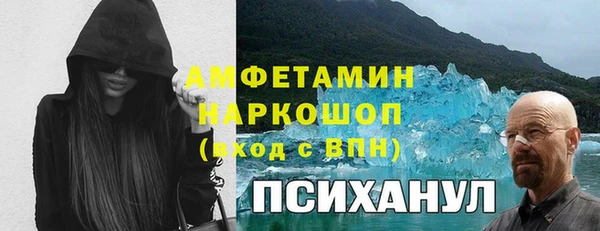 молекула духа Ельня